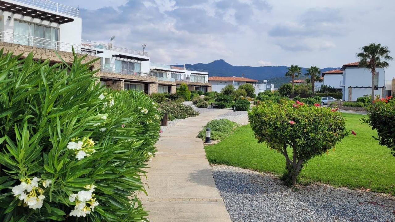 Yali Sea And Mountain View Beachfront Penthouse מראה חיצוני תמונה