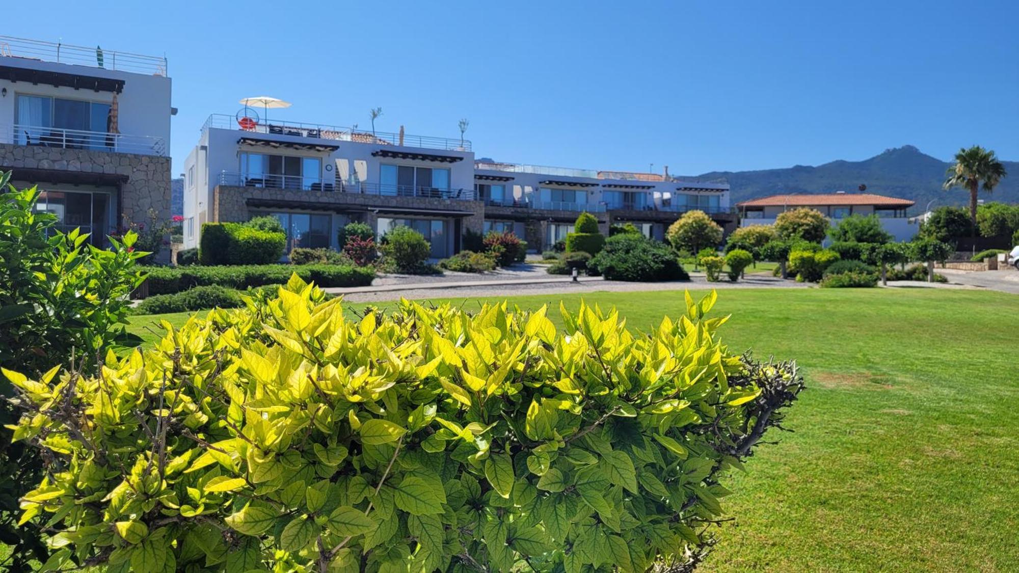 Yali Sea And Mountain View Beachfront Penthouse מראה חיצוני תמונה